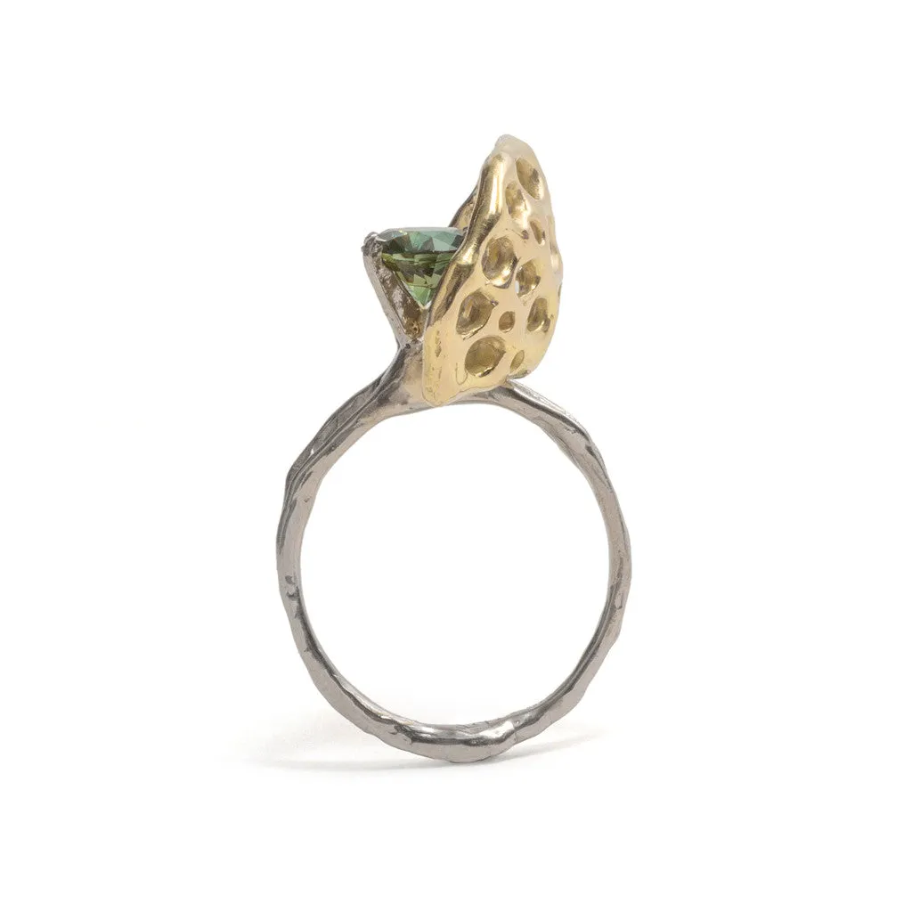 Gold Shield Ring Pieces of Eight