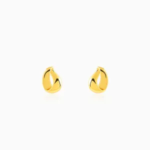 Golden Twisted Loop Earrings Giva