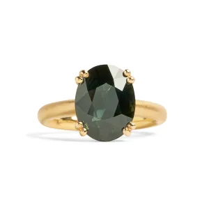 Grand Harvest Sapphire Ring Pieces of Eight