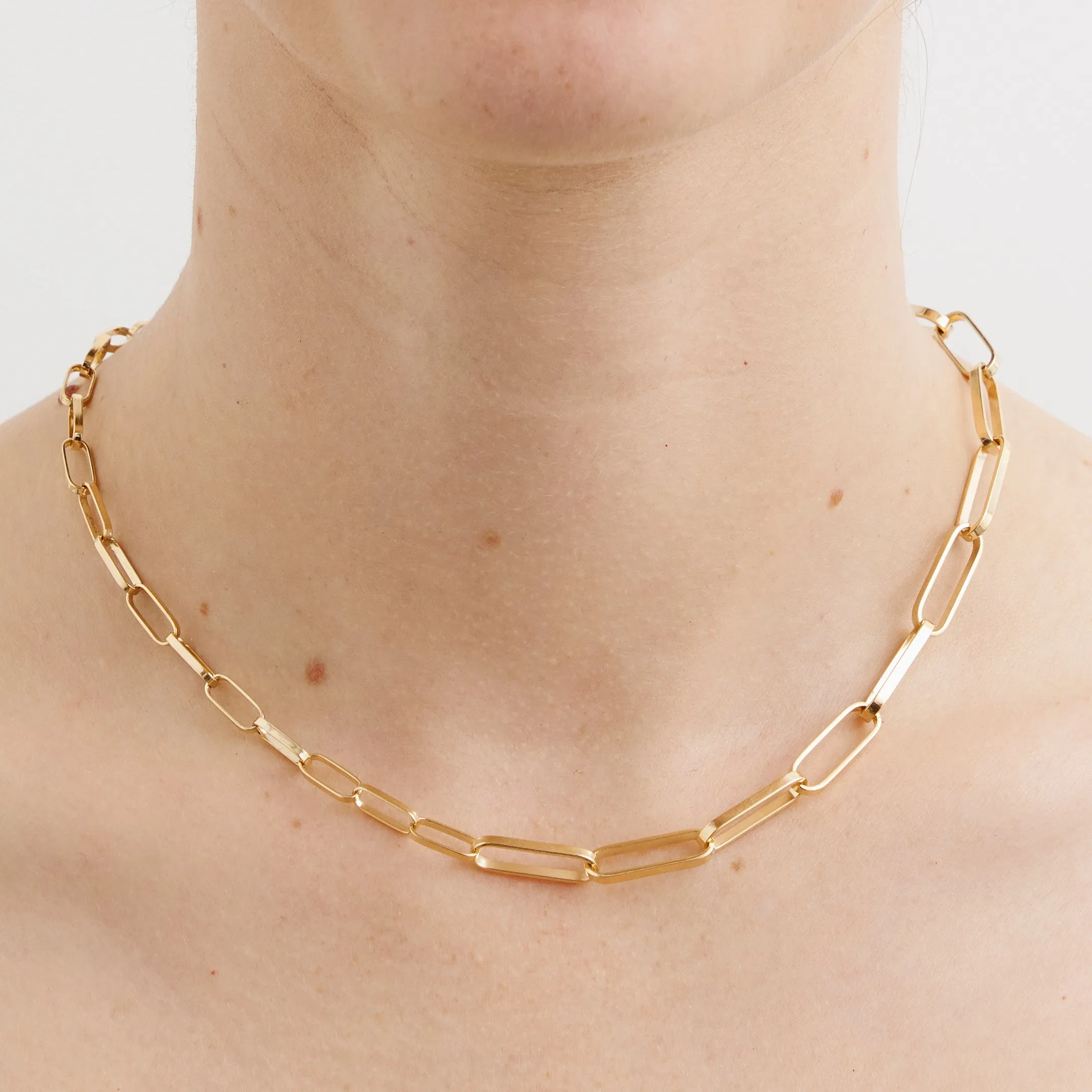 Mixed Link Choker Pieces of Eight