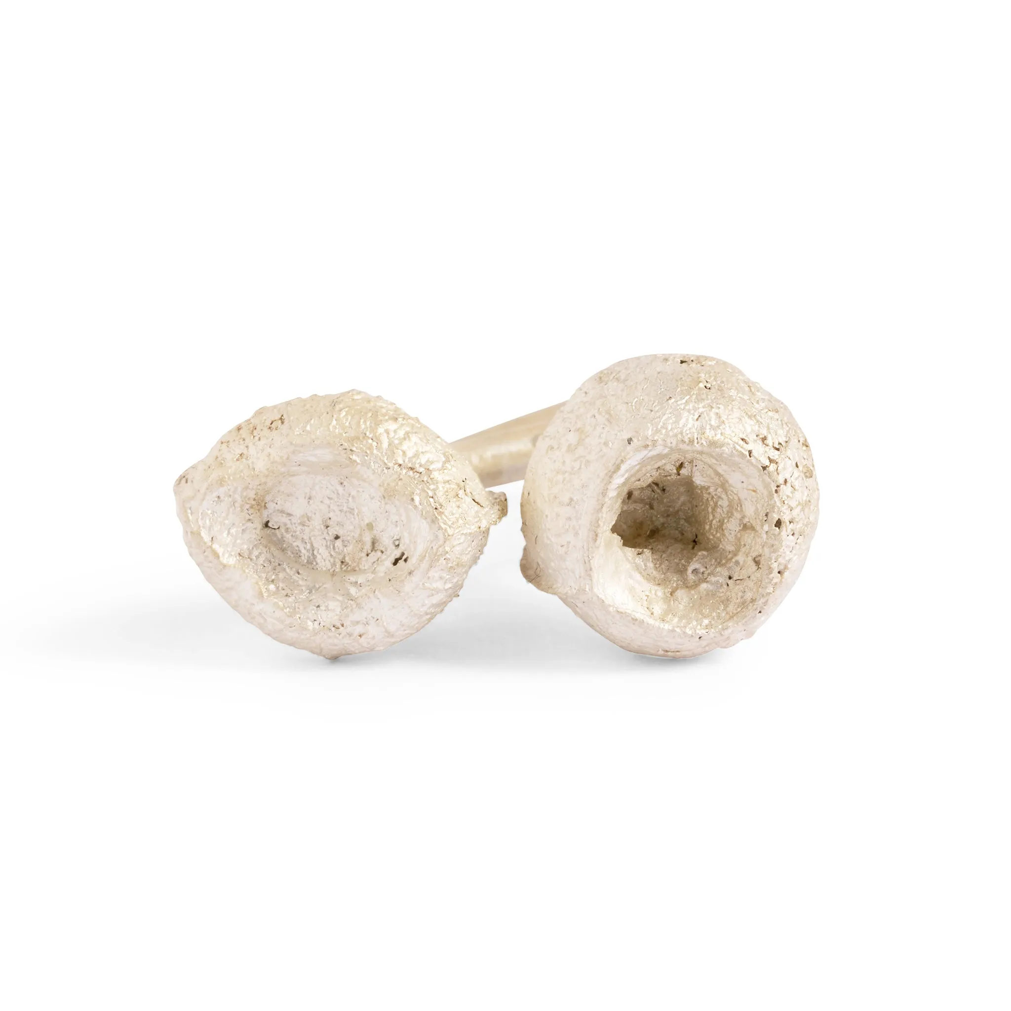 Pod Pair I Ring Pieces of Eight
