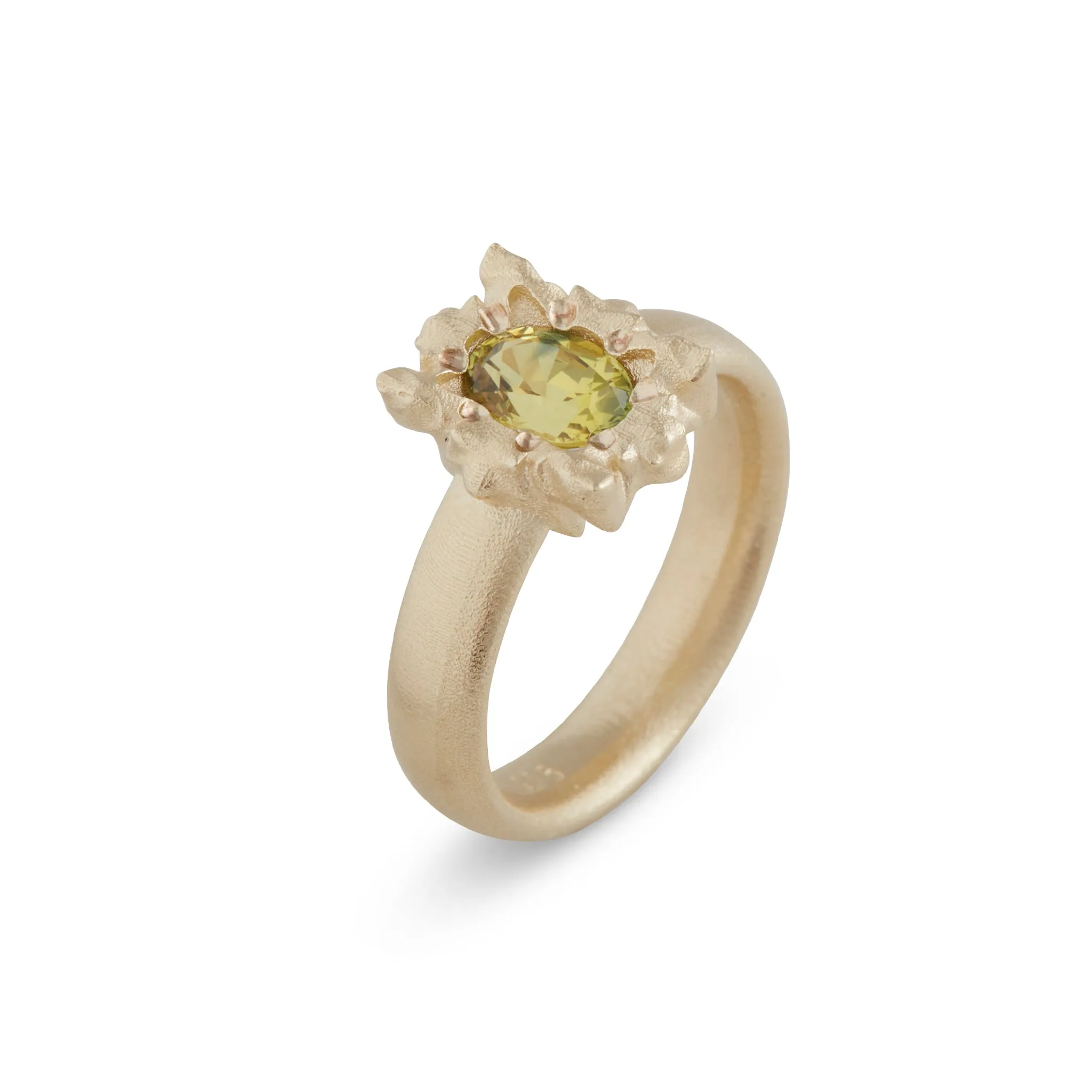 Solar Small Parti Sapphire Ring Pieces of Eight