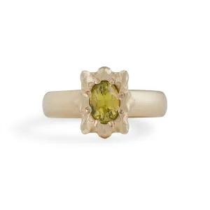Solar Small Parti Sapphire Ring Pieces of Eight