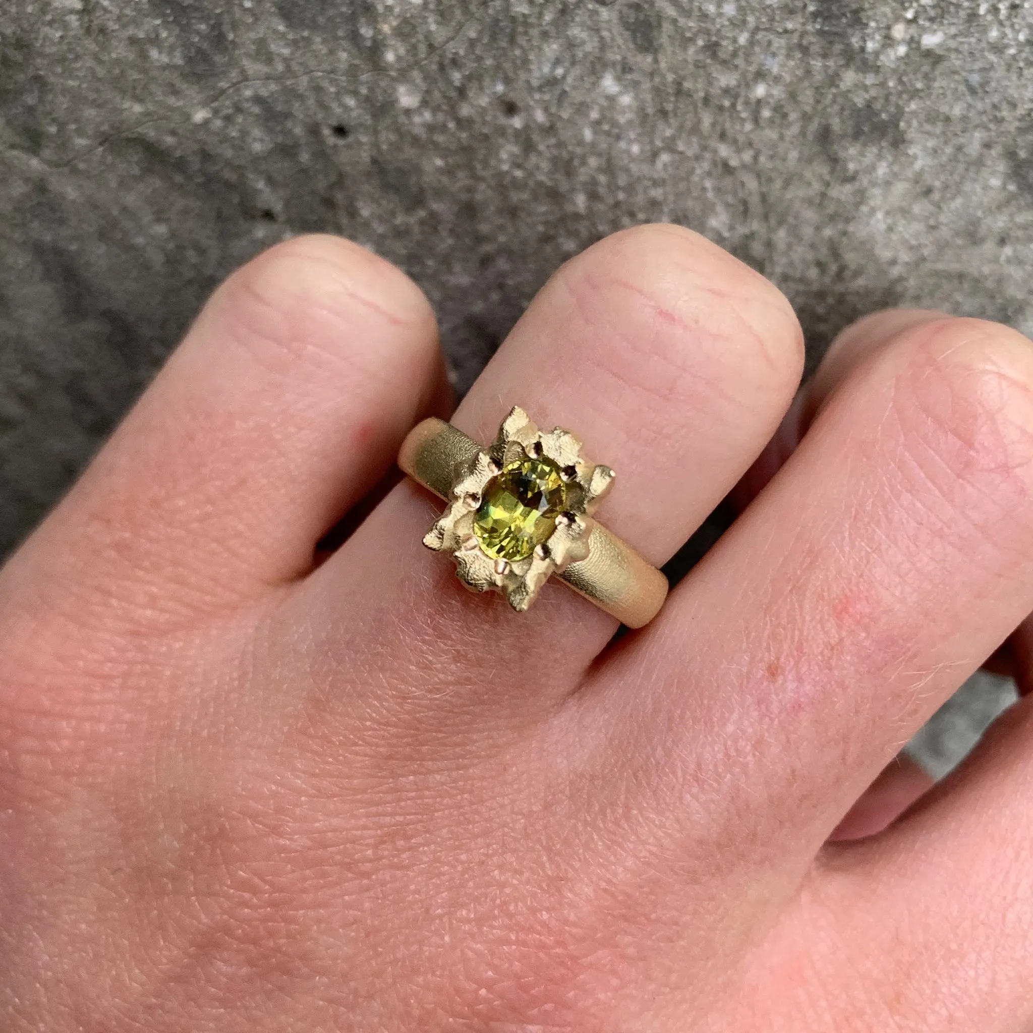 Solar Small Parti Sapphire Ring Pieces of Eight