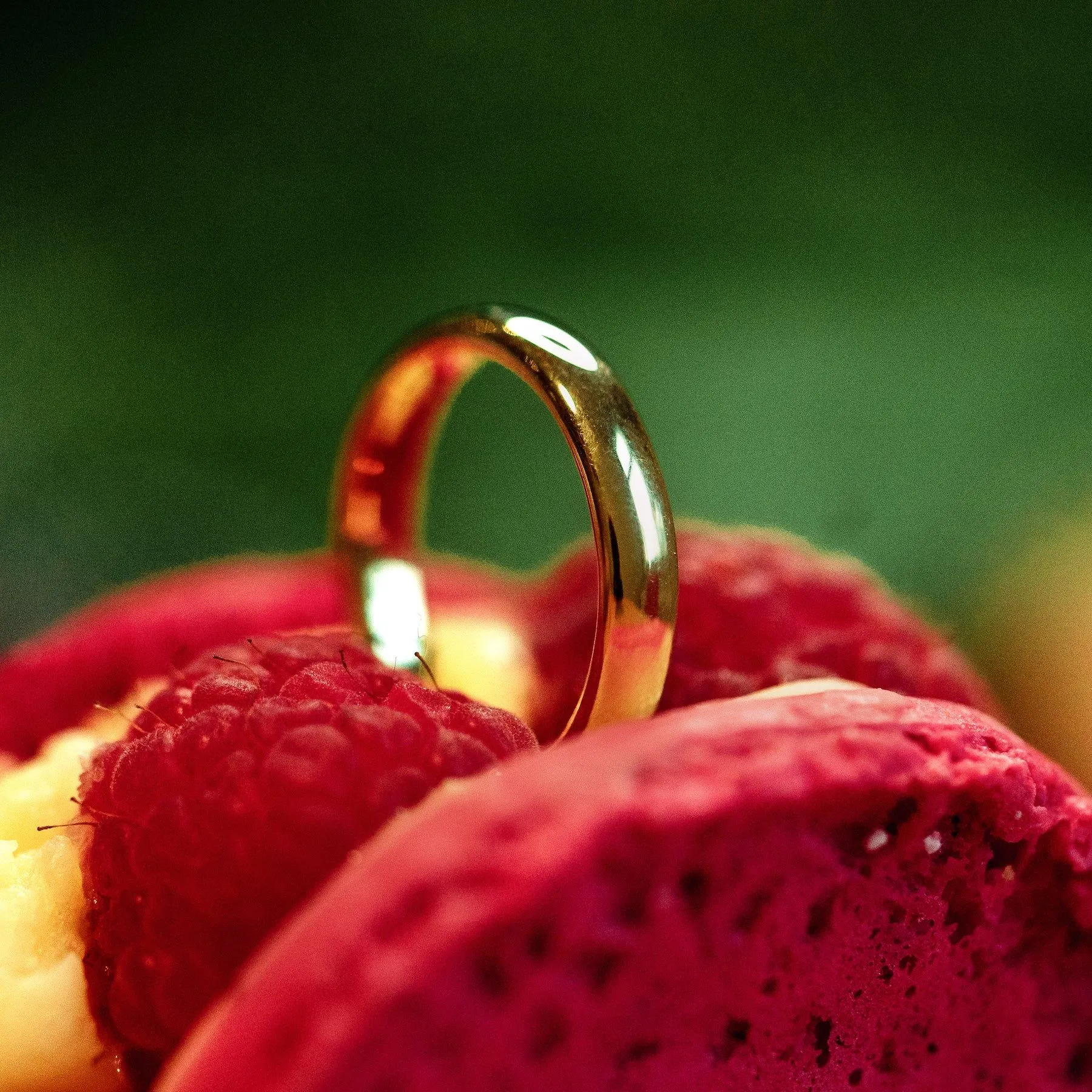 The Pure 2.5 mm 18K Gold, Whitegold or Rosegold Ring